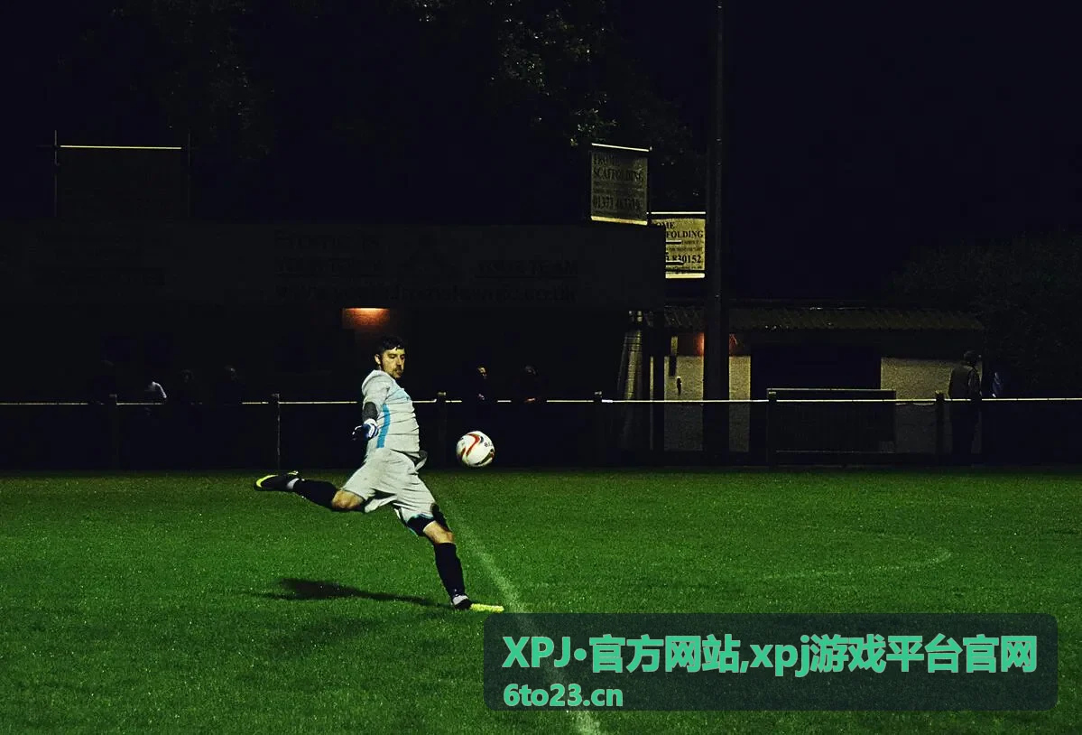 XPJ·官方网站入口说明封面